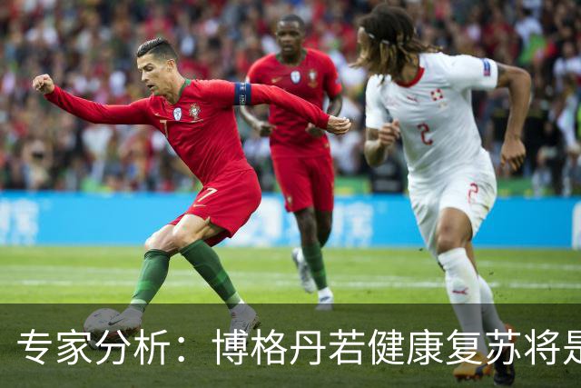 专家分析：博格丹若健康复苏将是火箭最佳引援之一